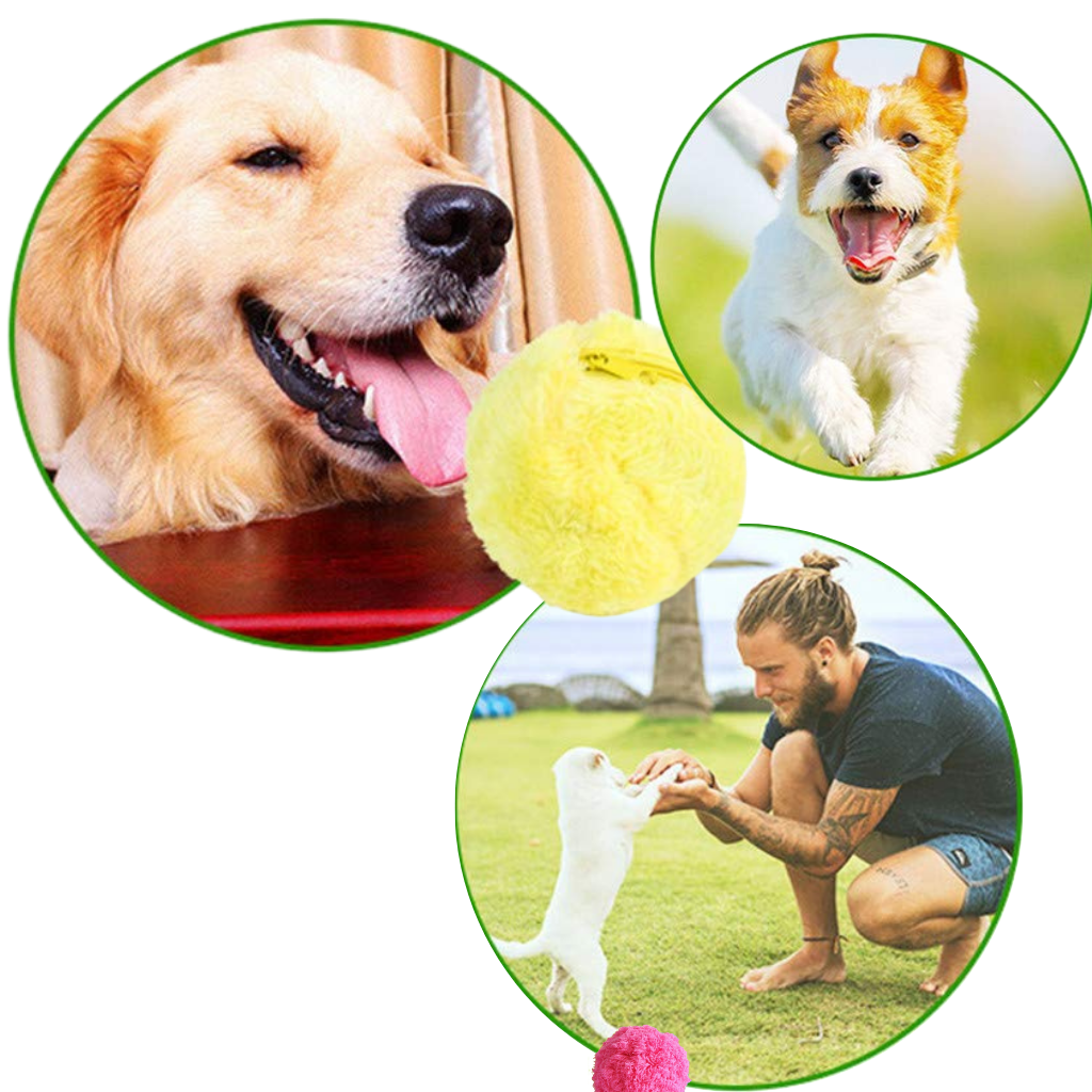 Automatic moving roller ball for dog with changeable covers