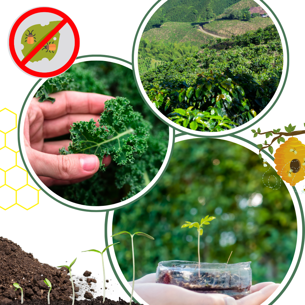 Organic Nutrients Soil Activator - Ozerty