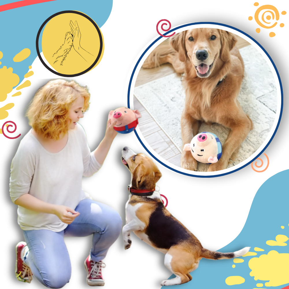 Paw Bounce Sensor Toy - Ozerty